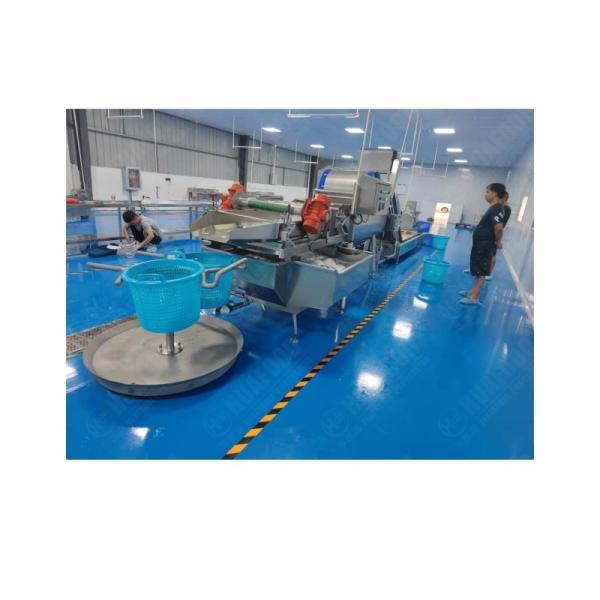 Cheap Hot Sell Industrial Fruit And Vegetable Processing Line Salad Production Line Lettuce Washing Line for sale