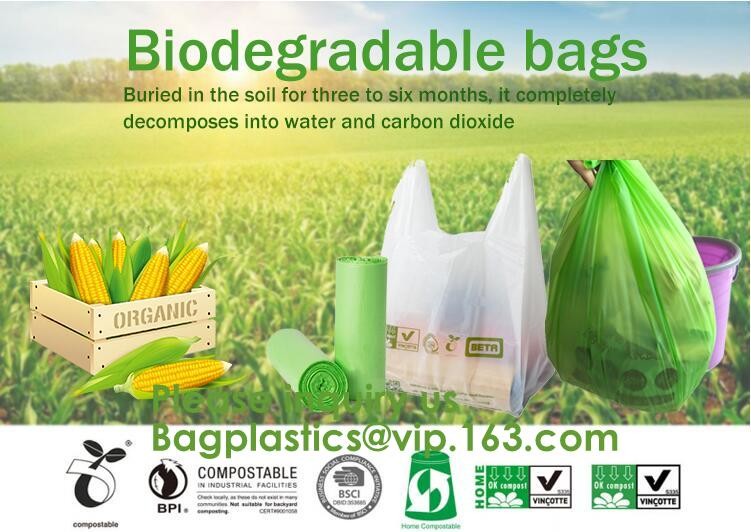PBAT+PLA Compostable disposable plastic apron,100% Biodegradable & Compostable disposable,Safe and Healthy, bagease, pac