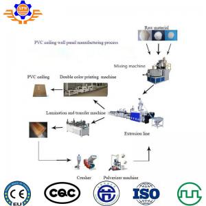 China Double Screw PVC Ceiling Production Line  Plastic Profile 200kg/H Wall Panel Making Machine on sale