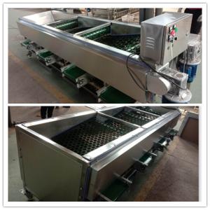 Best Mushroom grading machine, mushroom sorting machine,mushroom classification machine wholesale
