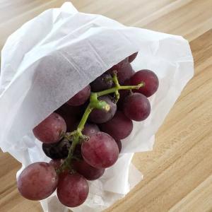 China Degradable Food Grade Fruit Wrapping Paper Waterproof Tissue Packaging on sale