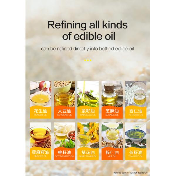 Small-Scale Groundnut Oil Refining Machine with 500Kg/day Capacity in Stainless Steel