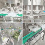 LWT Cucumber Slice Can specialized Precision Filling Machine with High
