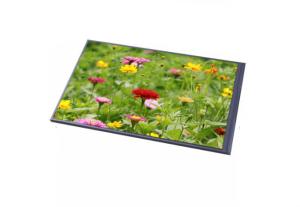 Best Resistive 7 Inch Touch Screen Panel , Programmable LCD Display Touch Screen For Security Monitoring System wholesale