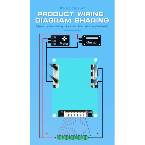 Lifepo4 Li-Ion Bms 6s 8s 13s 16s 20a 30a 40a 60a For Electric Motorcycle Sightseeing Car