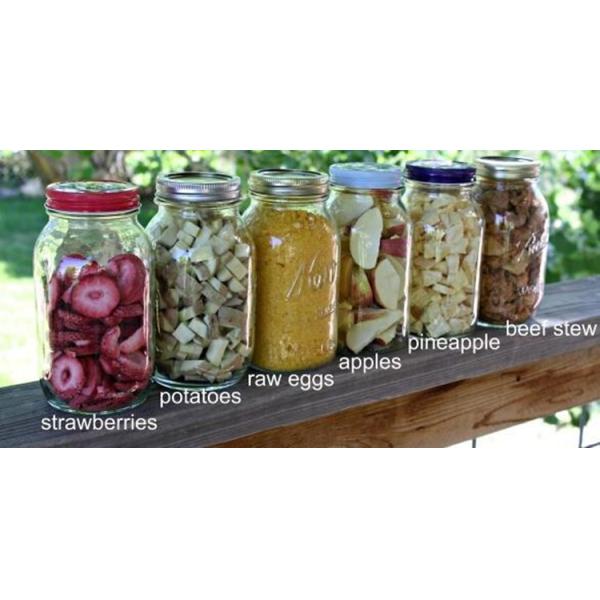 Vacuum Freeze Dried Food Machine Large Volume Excellent Temperature Control