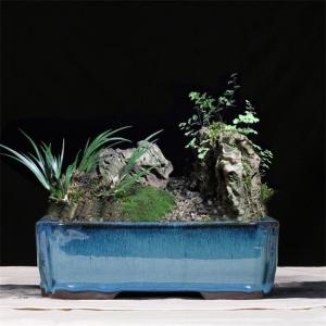China Blue 30.3cmx21.6cmx10.5cm Ceramic Glazed Bonsai Pots on sale
