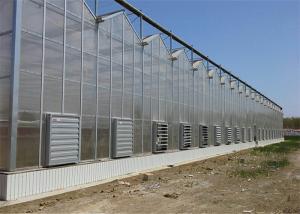 Best Shouguan Agricultural Glass Greenhouse Hot Dip Galvanized Rust Prevention Design wholesale