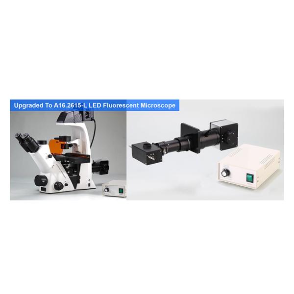 OPTO-EDU Trinocular Inverted Biological Microscope WF10X PlA14.2605 Kohler Illumination