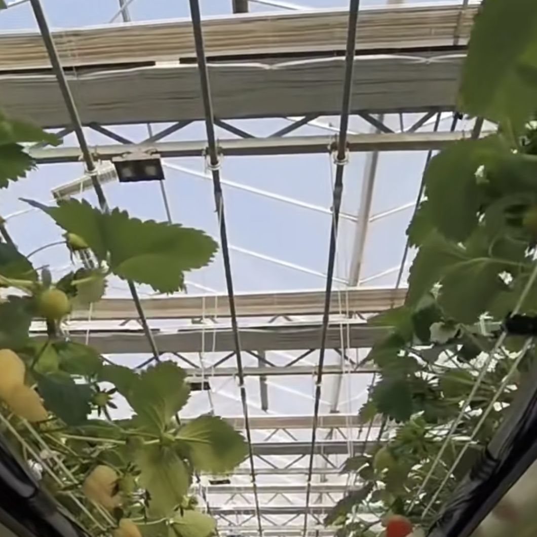 Trademarked Ju Xiang Glass Greenhouse