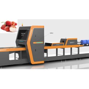 Best Litchi Intelligent Fruit Electronic Graders High Precision 2 Channel wholesale