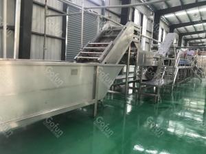 China SUS316 Fruit Mango Processing Line 2000T/Day For Pulp Puree on sale