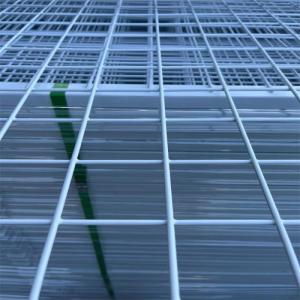 China 2x2 PVC Welded Wire Mesh Panels Plastic Coated Wire Mesh Sheets 30m/roll on sale