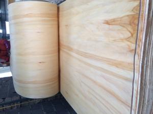 China bleached poplar veneer, full poplar wood sheet on sale