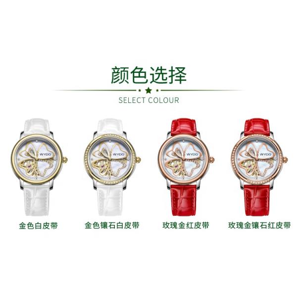 Seagull Movement 3ATM 5ATM Luxury Automatic Mechanical Watch