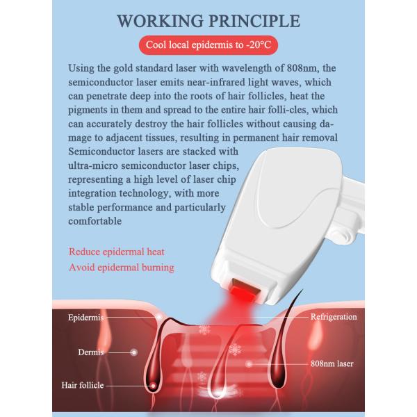 Ice Speed Diode Laser Bikini Hair Removal Machine With 3 Wavelength Hair Removal