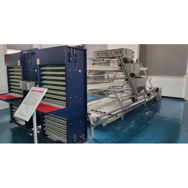 Hot Selling A Frame Automatic Chicken Layer Cage Poultry Cages Hot Galvanized Steel