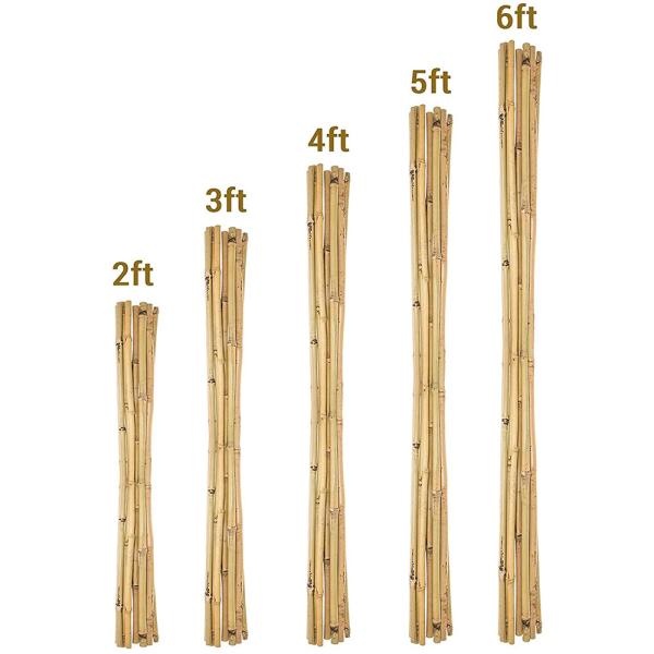 Customized Natural Bamboo Raw Material Bamboo Stakes 40cm 60cm 90cm Length 6mm Diameter