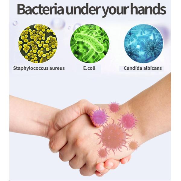 Pet Bottle Waterless Hand Sanitiser Antibacterial Alcohol Hand Sanitizer