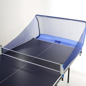Best OEM Portable Ping Pong Net Polyester Table Tennis Net Catcher wholesale