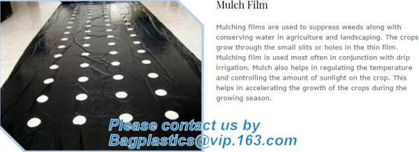 Panda Film for Blackout Greenhouse/Black-White Poly is UV-Stabilized Plastic Mushroom,0.1mm 0.12mm 0.15mm 0.18mm 0.2mm 0
