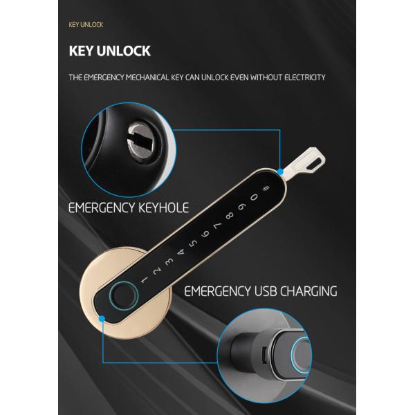 Multifunctional Wifi Smart Door Lock / Keypad Electronic Door Lock With Key