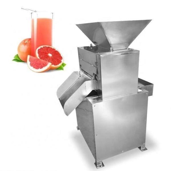 Electric Juicer Extractor Machine Making Fresh Squeezed Orange Lemon Juice
