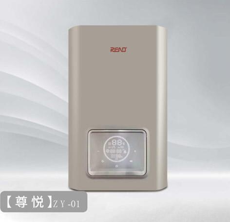 Cheap 20Kw Wall Hung Gas Hot Water Heater Intelligent Control White Shell Stainless Steel for sale
