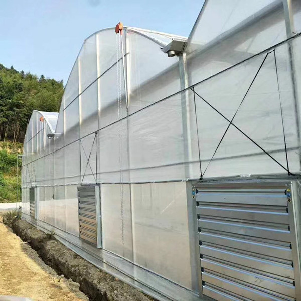 6mm Plastic Polyethylene Film Greenhouses With Irrigation System