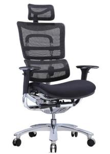 Best New Design Ergonomic Mesh Chair with Footrest wholesale