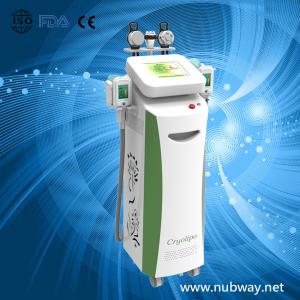 Best Vertical amazing result cryolipolysis cryotherapy fat freeze to losing weight wholesale