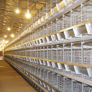 High Performance Poultry Chicken Cage 4 / 5 / 6 / 8 Tiers 120 * 60 * 70 Cm Size