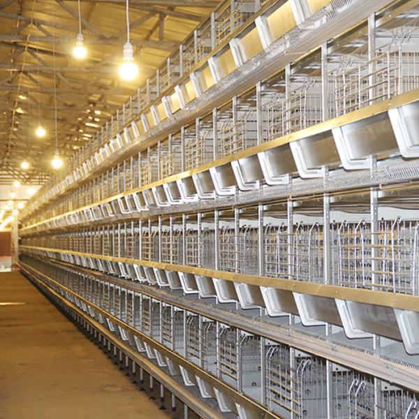 Cheap High Performance Poultry Chicken Cage 4 / 5 / 6 / 8 Tiers 120 * 60 * 70 Cm Size for sale