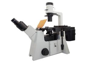 Best Trinocular Inverted Fluorescence Microscopes with CCD CAMERA wholesale