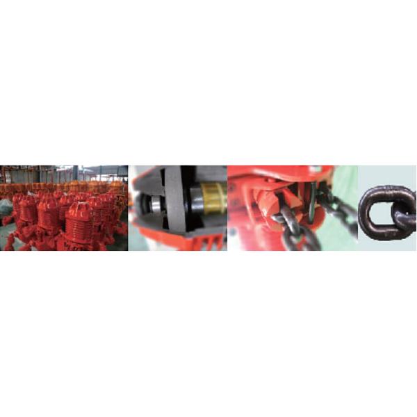 Hoisting Equipment Electric Chain Hoist Planetary Reducer ISO9001 CE CCC