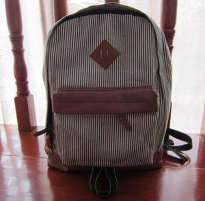 classical Polyster material Fashion backpack