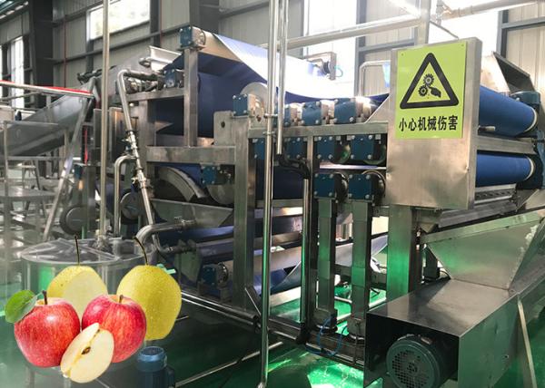Cheap Fully Automatic Apple Juice Production Line Advanced Preliminary Array Technology for sale