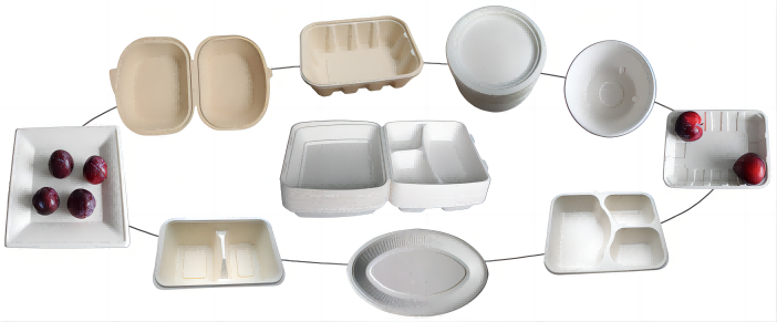 Biodegradable Paper Tableware Making Machine Flexible And Precise Production