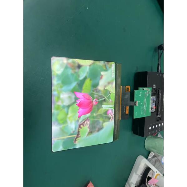 8 Inch Amoled Display Module 1860×2480 MIPI Interface Driving IC RM69380 430C/D
