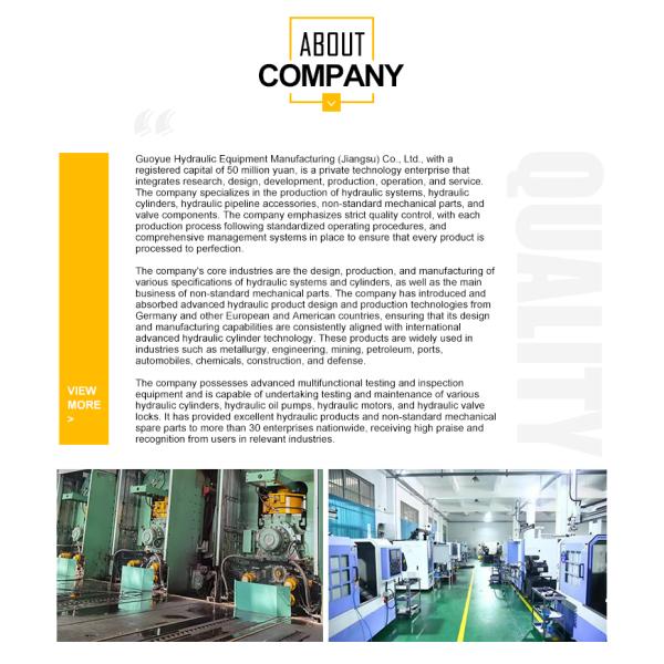 Various Models Can Be Customized 180 110-850 Hydraulic Cylinder