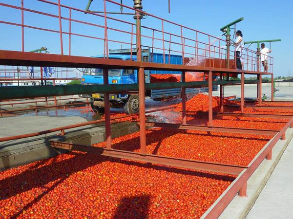 Cheap Commercial 380V Tomato Processing Line / Tomato Puree Processing Plant for sale