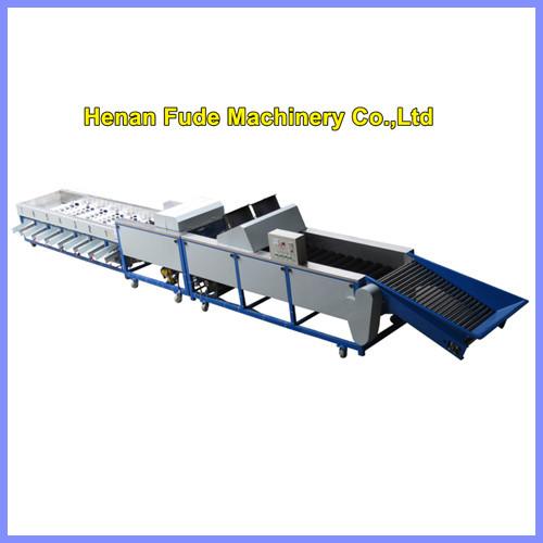 Cheap lemon grading machine, lemon waxing sorting machine for sale