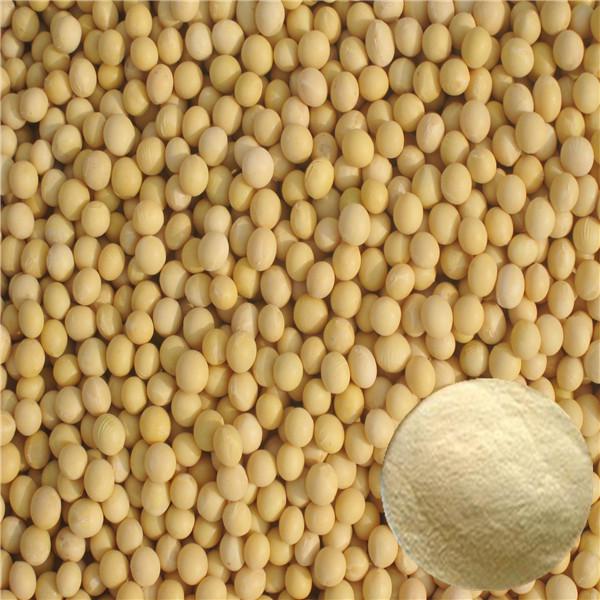 Cheap L-α-phosphatidylserine ps brain phosphatidyl serine for sale