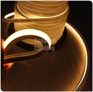 China supplier DC 24V warm white decoration led neon flex 16x16mm square  flat neon rope IP68