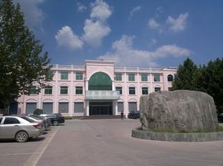 DRAGON ASCENDAS INDUSTRIAL LIMITED