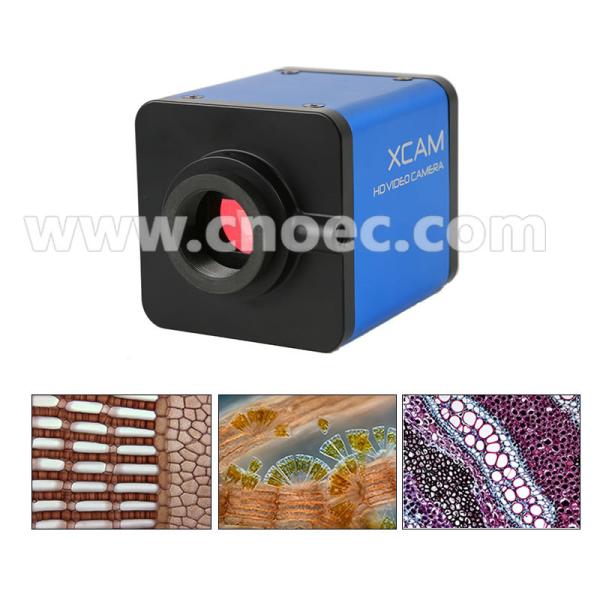 Cheap COMS Camera / VGA Output Digital Microscope Camera Microscope Accessories A59.2217 for sale