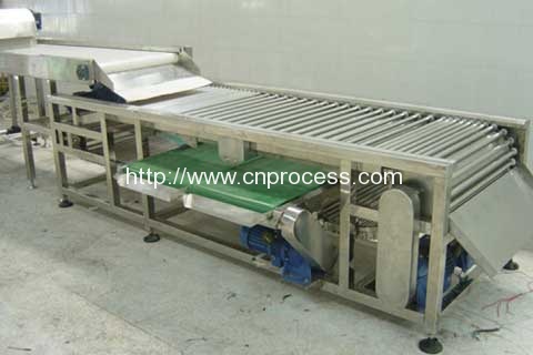 Full automatic food grader machine