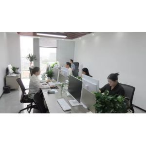 Shanghai Apying Technology Co., Ltd.