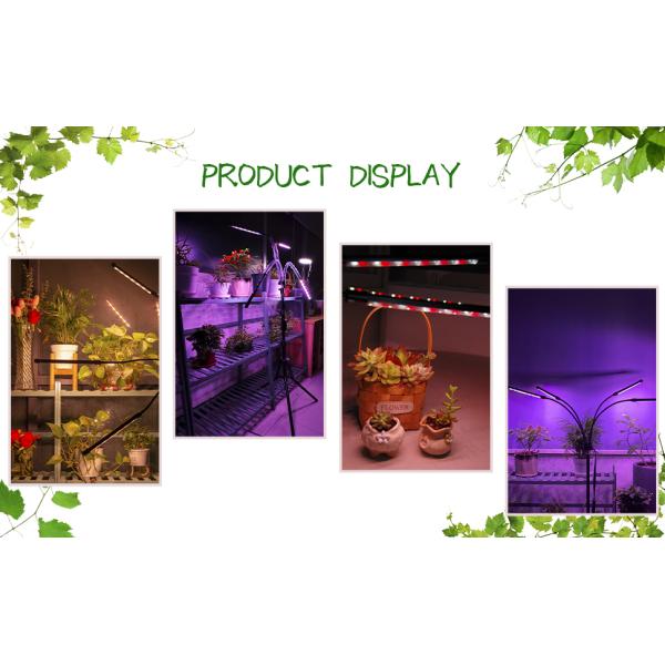 DC5V LED Growth Lamp Tripod Standing Grow Lights For Seedlings