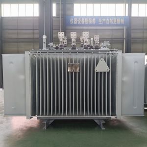 11kV - 1250 KVA Oil Immersed Transformer Energy Saving Low Loss Economic